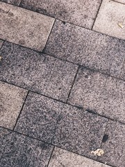 Cobbled gray tile with leaf underfoot. Autumn mood