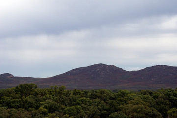 Fototapeta na wymiar Views inside Wilpena Pound, SA, Australia