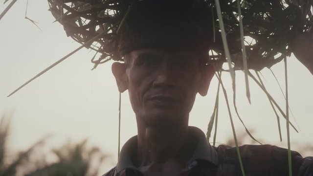Asian old farmer going to work on plantation