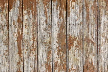 Obraz premium wooden plank texture. abstract grunge wood texture background