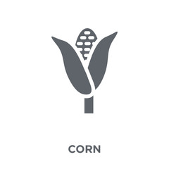 Corn icon from Agriculture, Farming and Gardening collection.