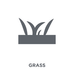 Grass icon from Agriculture, Farming and Gardening collection.