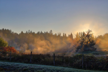Fototapeta na wymiar Fall Sunrise on a Foggy Day