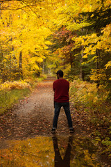 Algonquin Provincial Park, ON, Canada