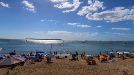 beach with chairs and umbrellas