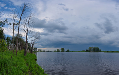Fototapeta premium Russia. The South Of Western Siberia. Summer windless day on the Ob river