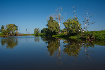 Obraz premium Russia. The South Of Western Siberia. Summer windless day on the Ob river