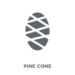 Pine cone icon from Christmas collection.