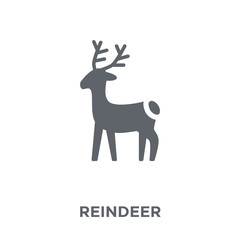 Reindeer icon from Christmas collection.