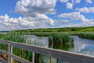 boardwalk and lush marsh and hills