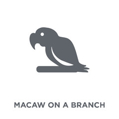 Obraz premium Macaw on a branch icon from Brazilian icons collection.