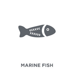 Marine Fish icon from Australia collection.