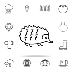 hedgehog icon. autumn icons universal set for web and mobile