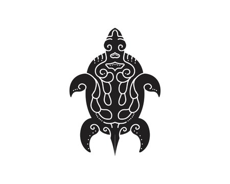 Turtle Vector Animal design and nature