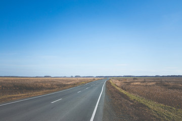 Empty road through the autumn fields. Toned image.