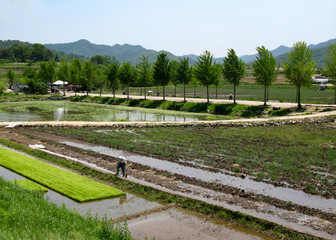 Obraz premium Hae Hoe Folk Village in South Korea.