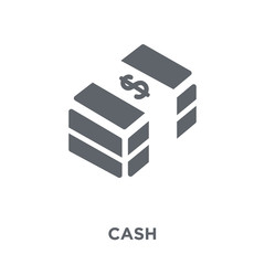 Cash icon from  collection.
