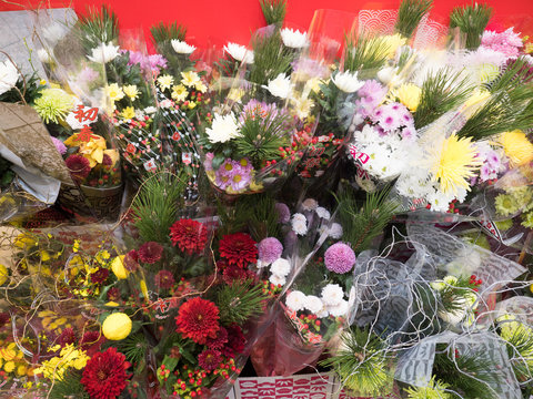 5 033 Best 花屋 Images Stock Photos Vectors Adobe Stock 5 033 Best 花屋 Images Stock Photos Vectors Adobe Stock