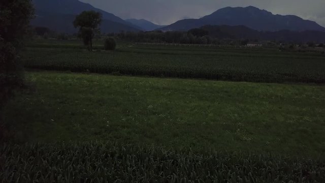 Aerial reveal type clip of a farm field in Levico Terme, Italy, during sunrise with drone flying forward at low altitude