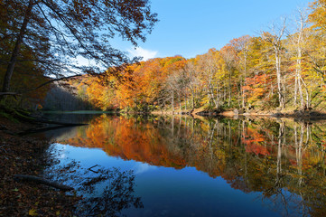 【青森県十和田市長沼】秋の蔦沼巡りは燃えるような紅葉の真ん中を通る。ここは長沼