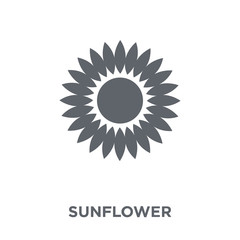 Sunflower icon from Ecology collection.