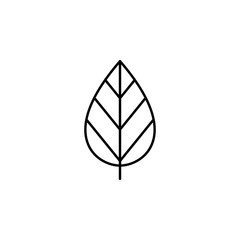 tree leaf icon. Element of simple web icon. Thin line icon for website design and development, app development. Premium icon