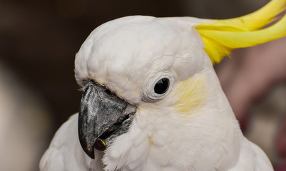 Animals in their Habitat