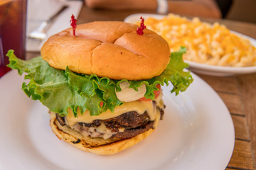 burger and fries