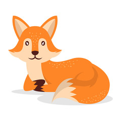 Cute fox isolated on white background