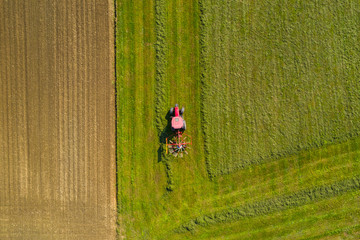 Red tractor windrowing hay, top down aerial view