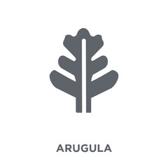 Arugula icon from Fruit and vegetables collection.
