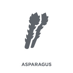 Asparagus icon from Fruit and vegetables collection.
