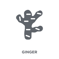 Ginger icon from Fruit and vegetables collection.