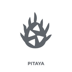 Pitaya icon from Fruit and vegetables collection.