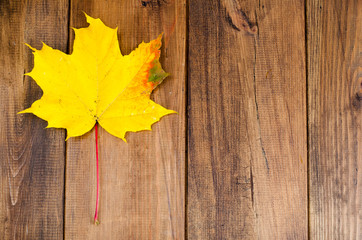 Naklejka na ściany i meble Yellow autumn maple leaves on wooden table