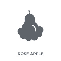 Rose apple icon from Fruit and vegetables collection.
