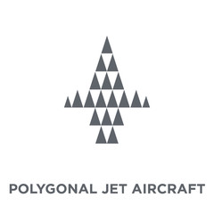 Polygonal jet aircraft icon from Geometry collection.