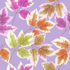 Maple leaf. Seamless pattern texture of flowers. Floral background, photo collage