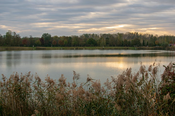 Rund um die Feldkirchner Badeseen in Feldkirchen an der Donau Oberösterreich Österreich