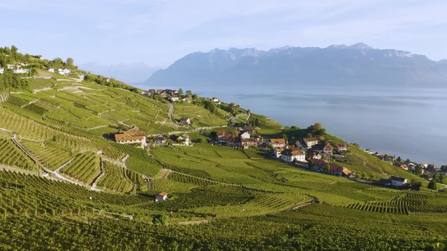 Flying low over vineyard and Aran village, Lavaux - Switzerland
Lake Leman and the Alps in the background