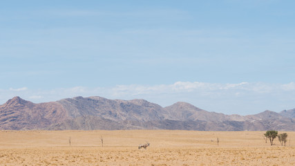 Namibia landscape. Desert of namib