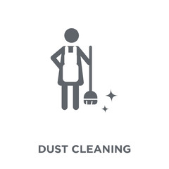 dust cleaning icon from Hygiene collection.