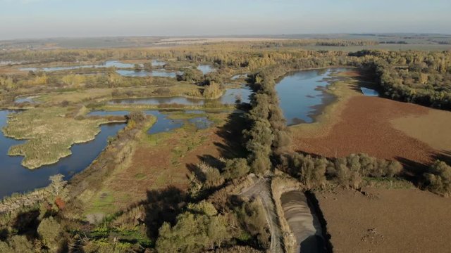 Aerial brown waters within the mangrove are nurseries for fish, mollusc and crustacean larvae that require sheltered environment before the immature animals can disperse into open watersRED EPIC