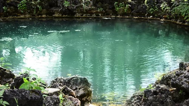 Clear Green Water at Small Hot Spring in Natural Valley.
