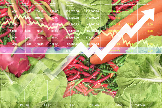 Stock  financial of successful growth index business on organic food products.Closeup on freshness mix vegetable and healthy fruit  dragon fruit,carrots,fresh green lettuce and red chili background.