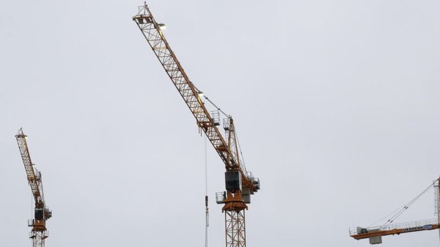 Wide Shot of Cranes in Action.