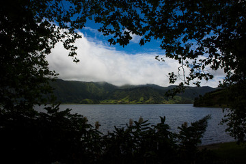 Obraz na płótnie Canvas Lake View Through Trees