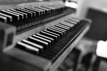 An Organ keyboard