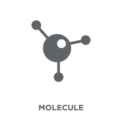 Molecule icon from  collection.