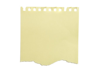 Piece of torn paper